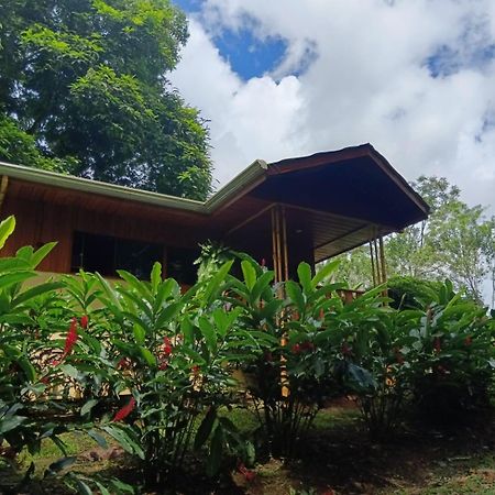 Gambas Lodge La Fortuna Bagian luar foto