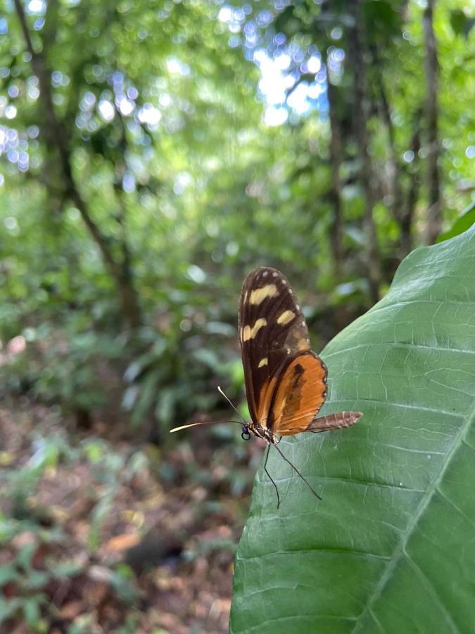 Gambas Lodge La Fortuna Bagian luar foto