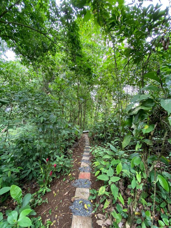Gambas Lodge La Fortuna Bagian luar foto