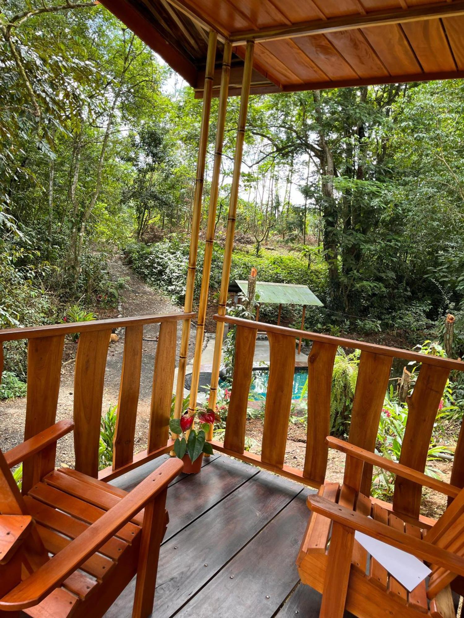 Gambas Lodge La Fortuna Bagian luar foto