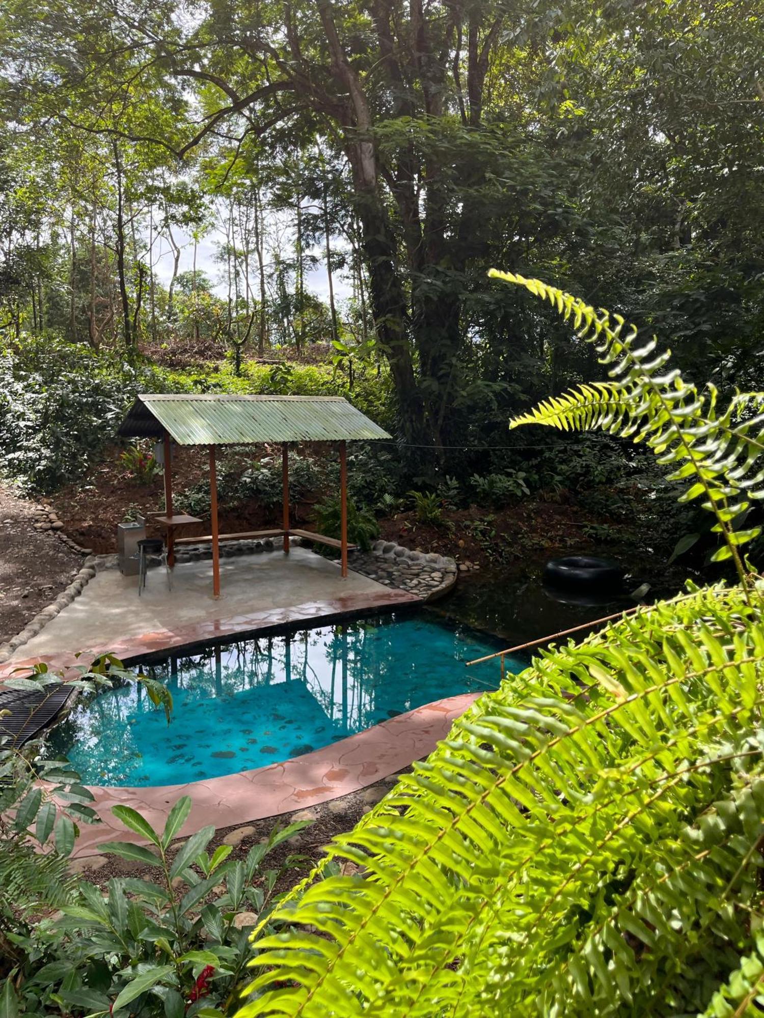 Gambas Lodge La Fortuna Bagian luar foto