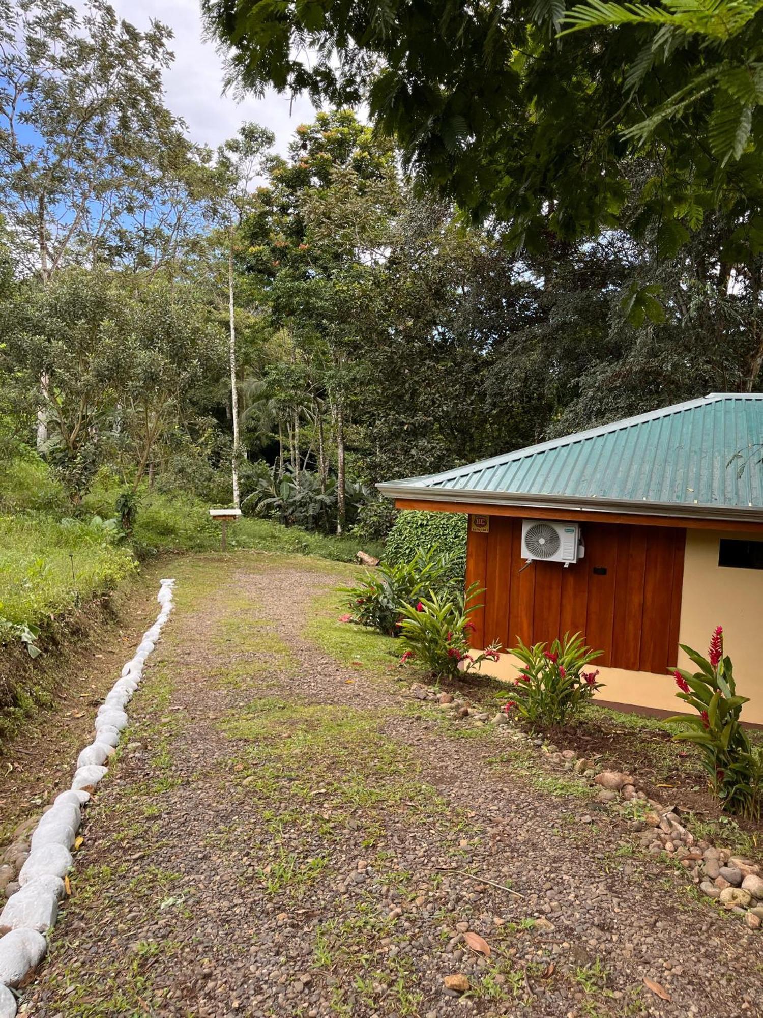 Gambas Lodge La Fortuna Bagian luar foto