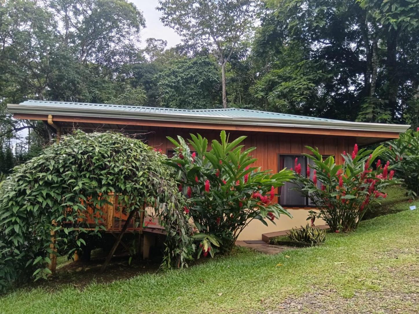 Gambas Lodge La Fortuna Bagian luar foto