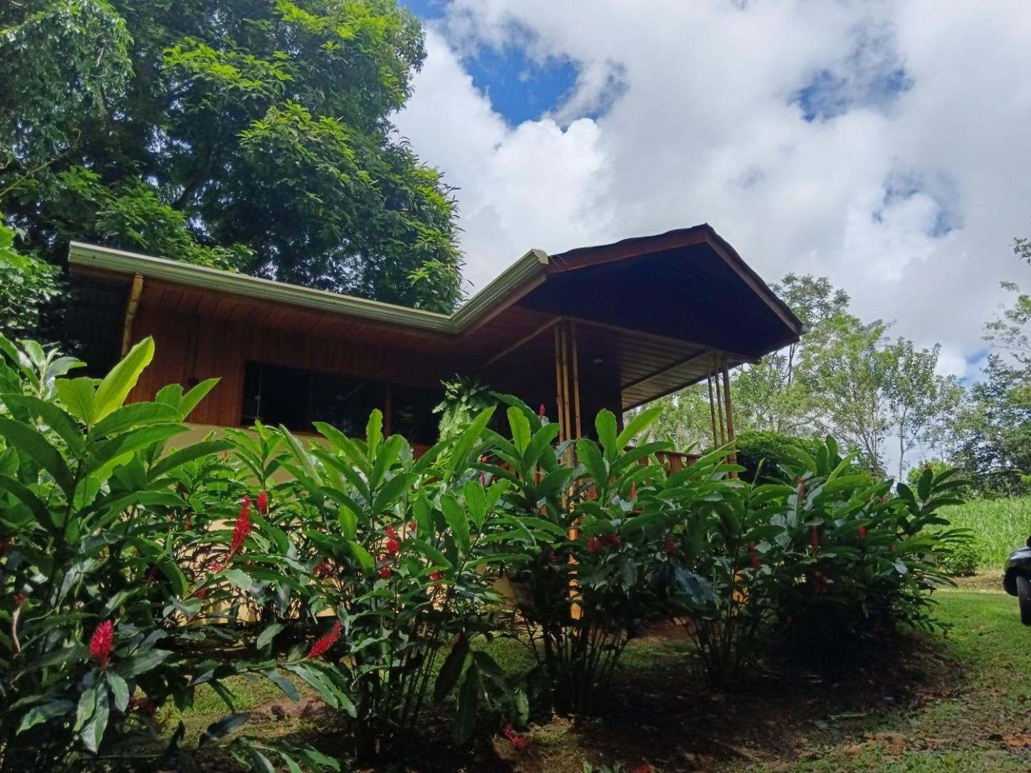 Gambas Lodge La Fortuna Bagian luar foto